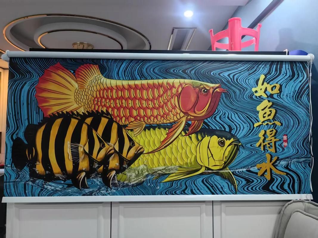 如何預防龍魚撞缸，富媒體組件查詢龍魚撞缸的科學成因與預防措施 如何預防龍魚撞缸，富媒體組件查詢龍魚撞缸的科學成因與預防措施 龍魚百科 第2張