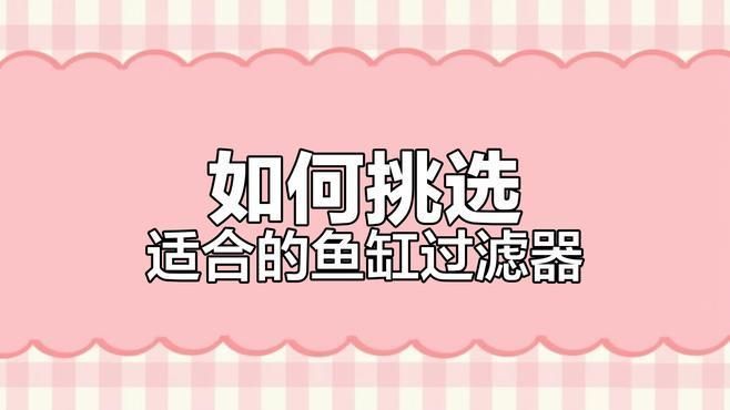 龍魚缸需要什么過濾系統？，龍魚缸過濾系統維護清單 龍魚缸需要什么過濾系統？，龍魚缸過濾系統維護清單 龍魚百科 第3張