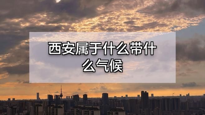 有哪些寵物適合西安的氣候條件，在西安養(yǎng)寵物需注意什么