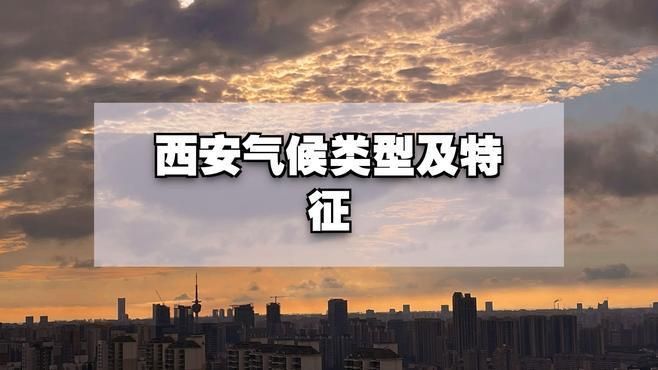 有哪些寵物適合西安的氣候條件，在西安養寵物需注意什么 有哪些寵物適合西安的氣候條件，在西安養寵物需注意什么 龍魚百科 第2張