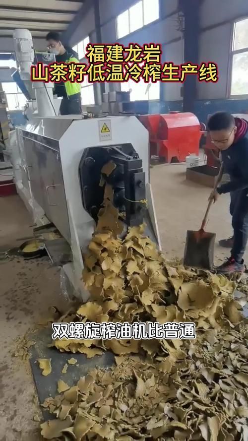 福臨門冷榨技術有哪些專利，中糧集團福臨門冷榨技術 福臨門冷榨技術有哪些專利，中糧集團福臨門冷榨技術 龍魚百科 第3張