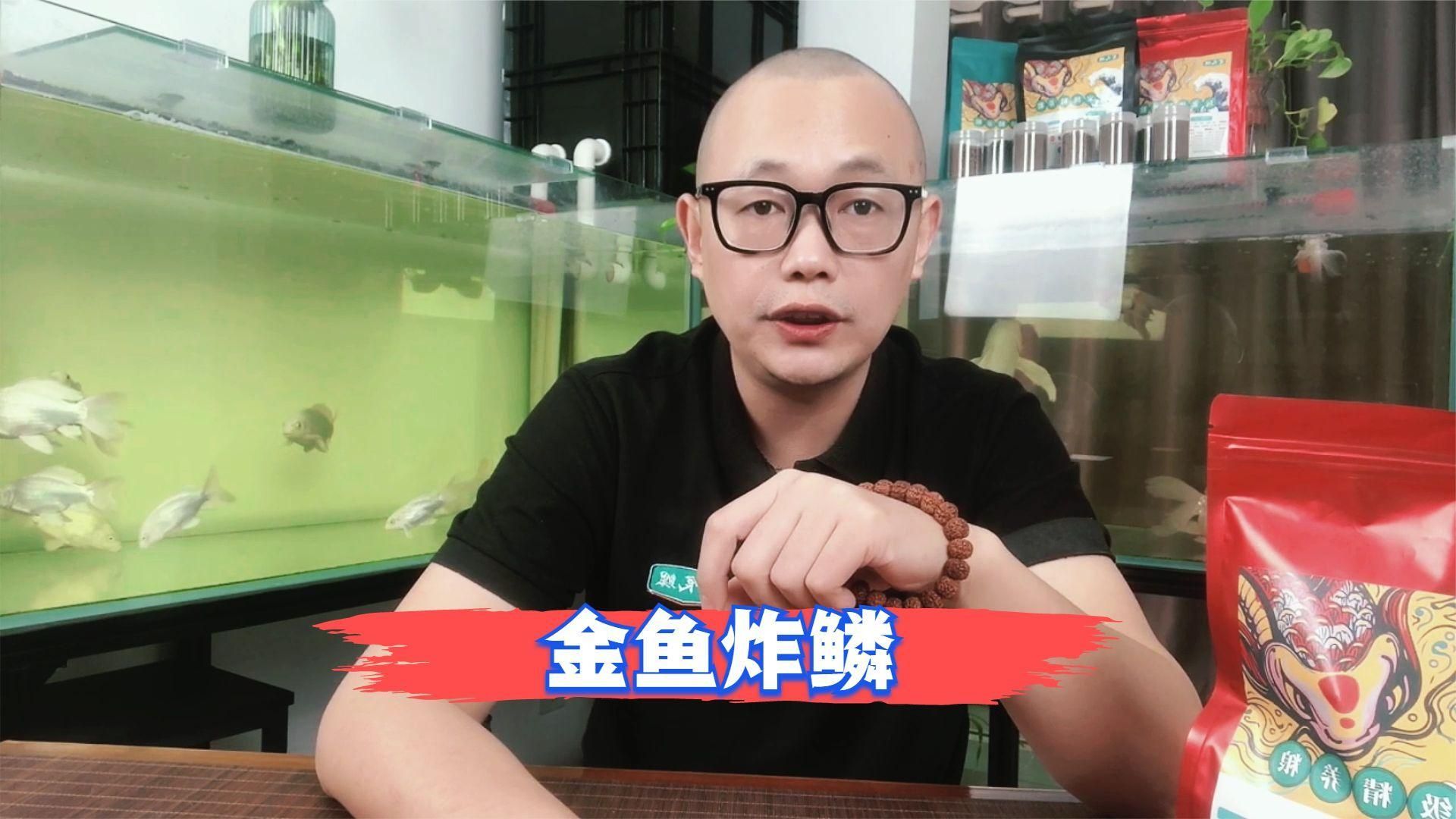 魚炸鱗自己會恢復嗎
