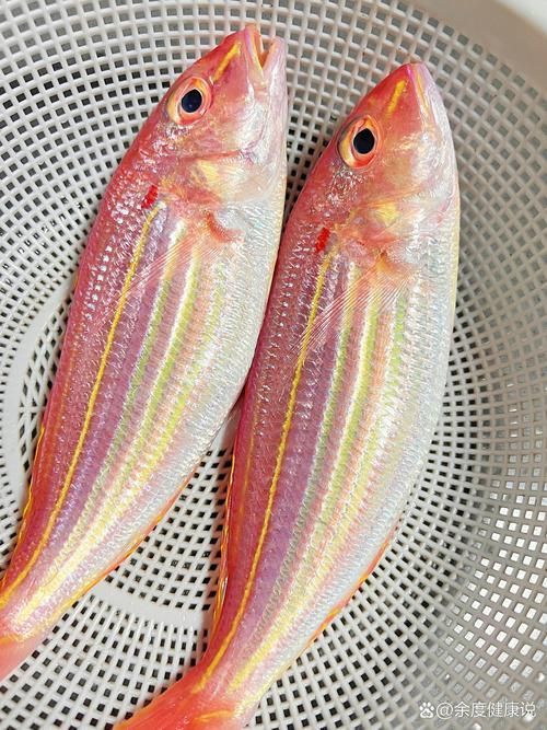 麥肯斯銀版魚多久才能長大？，關于麥肯斯銀版魚的詳解