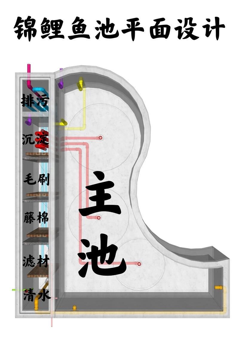 如何預(yù)防錦鯉爛身病,關(guān)于錦鯉爛身病的一些建議 龍魚百科 第5張 如何預(yù)防錦鯉爛身病,關(guān)于錦鯉爛身病的一些建議 如何預(yù)防錦鯉爛身病,關(guān)于錦鯉爛身病的一些建議 龍魚百科 第5張