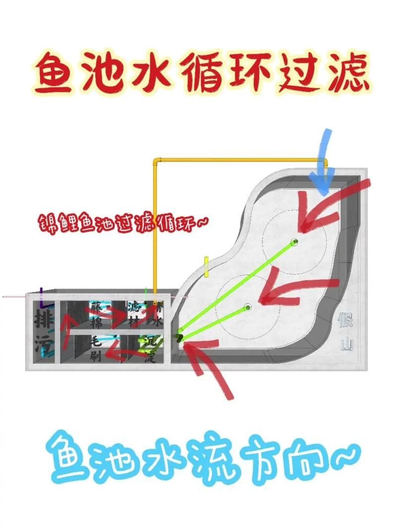 如何預(yù)防錦鯉爛身病,關(guān)于錦鯉爛身病的一些建議 龍魚百科 第4張 如何預(yù)防錦鯉爛身病,關(guān)于錦鯉爛身病的一些建議 如何預(yù)防錦鯉爛身病,關(guān)于錦鯉爛身病的一些建議 龍魚百科 第4張
