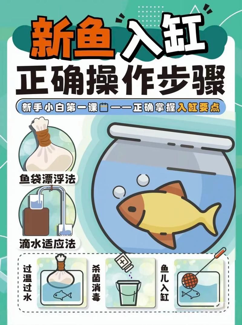 如何預(yù)防錦鯉爛身病,關(guān)于錦鯉爛身病的一些建議 龍魚百科 第11張 如何預(yù)防錦鯉爛身病,關(guān)于錦鯉爛身病的一些建議 如何預(yù)防錦鯉爛身病,關(guān)于錦鯉爛身病的一些建議 龍魚百科 第11張