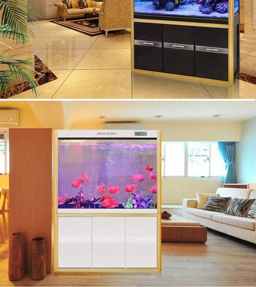 知乎上有哪些龍魚魚缸品牌推薦？，知乎上龍魚魚缸品牌推薦 知乎上有哪些龍魚魚缸品牌推薦？，知乎上龍魚魚缸品牌推薦 龍魚百科 第11張