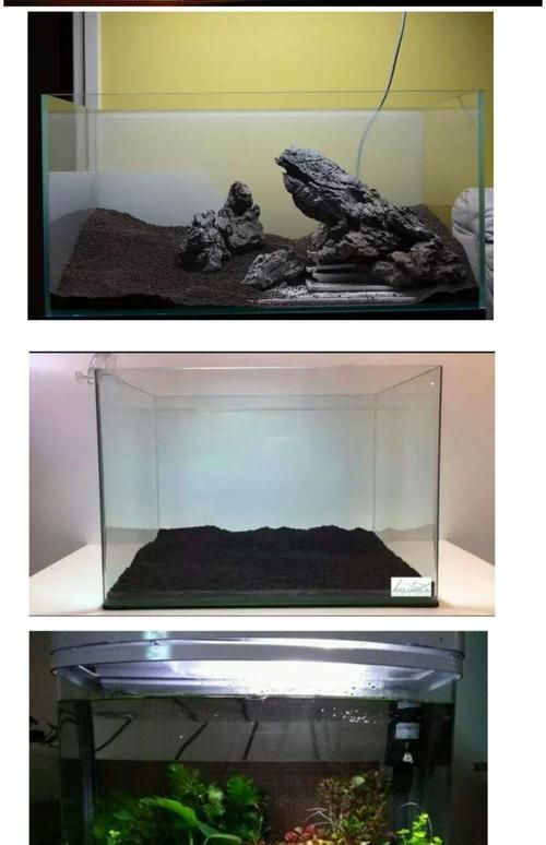 能否提供更詳細的魚缸設置指南,魚缸設置指南 龍魚百科 第3張 能否提供更詳細的魚缸設置指南,魚缸設置指南 能否提供更詳細的魚缸設置指南,魚缸設置指南 龍魚百科 第3張