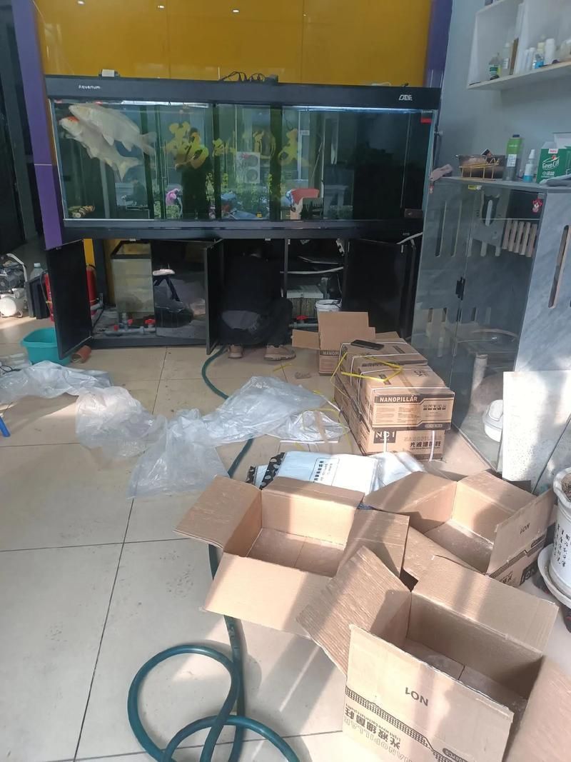 彩鰈和森森哪個(gè)更好？，彩鰈與“森森”和“森森”哪個(gè)好