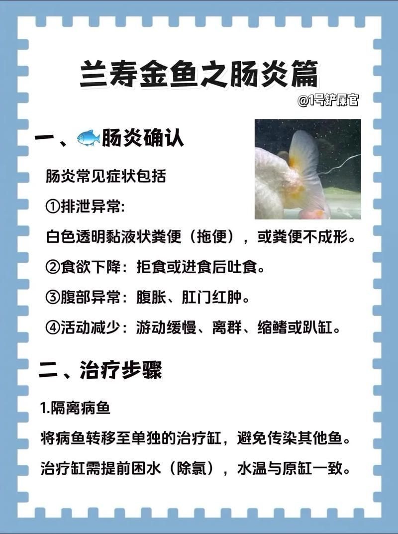 如何預(yù)防魚得腸炎，如何科學(xué)預(yù)防魚類腸炎