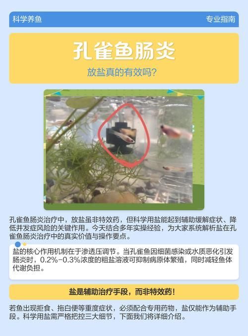 如何預(yù)防魚得腸炎，如何科學(xué)預(yù)防魚類腸炎