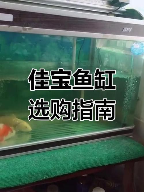 佳寶龍魚缸的評價如何？，“佳寶龍魚缸”實拍圖搜索獲取權威信息（佳寶龍魚缸” 佳寶龍魚缸的評價如何？，“佳寶龍魚缸”實拍圖搜索獲取權威信息（佳寶龍魚缸” 龍魚百科 第5張