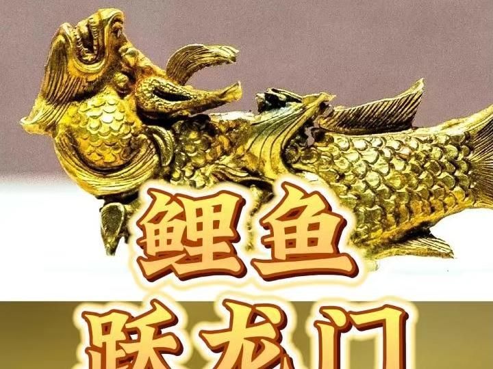 魚化龍有哪些文化寓意，魚化龍是中國傳統(tǒng)文化中極具象征意義的吉祥意義的吉祥寓意
