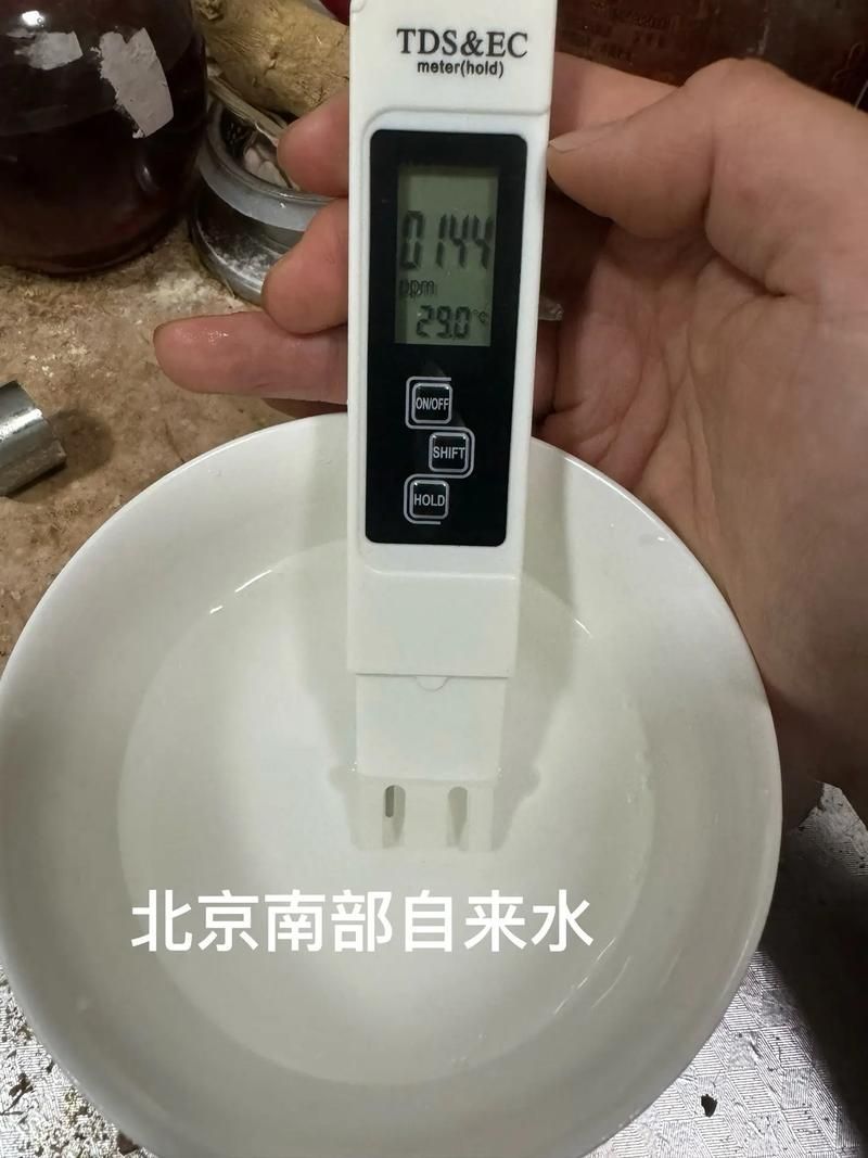 如何制定個性化換水計劃 如何制定個性化換水計劃 龍魚百科 第8張