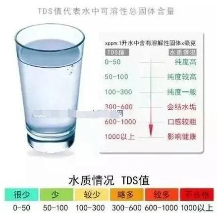 如何制定個性化換水計劃 如何制定個性化換水計劃 龍魚百科 第7張