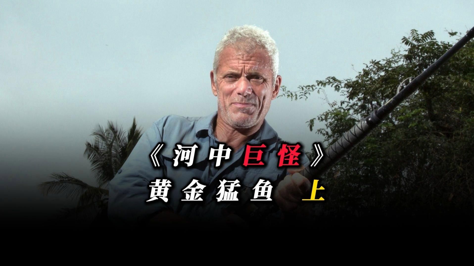 非洲猛魚有哪些品種？，新魚開箱242期