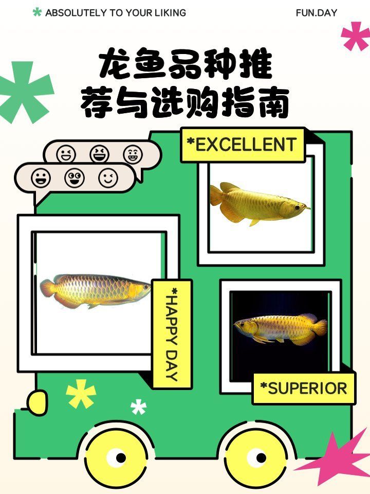 龍魚的品牌有哪些種類