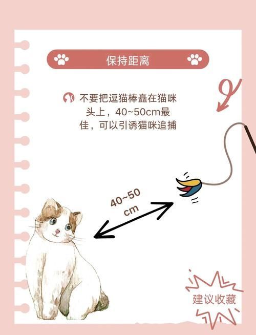 如何訓練貓不捕魚