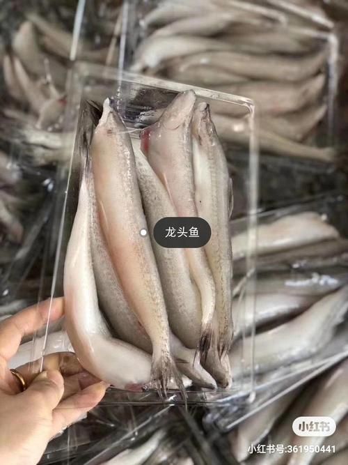龍頭魚的價格是多少，舟山野生速凍龍頭魚價格高昂的三大原因解析懸疑探妍 龍頭魚的價格是多少，舟山野生速凍龍頭魚價格高昂的三大原因解析懸疑探妍 龍魚百科 第5張