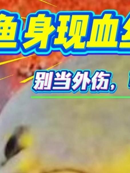 如何區分魚類病毒和細菌感染，如何區分魚類病毒性感染與細菌性感染？