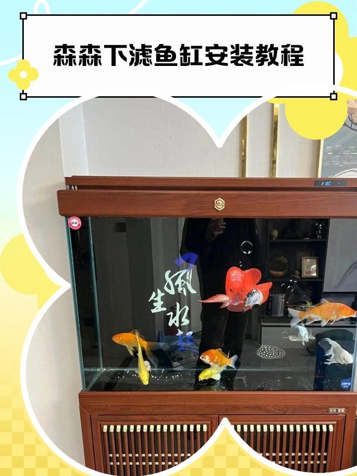 如何設置龍魚缸的過濾系統(tǒng)？，龍魚缸過濾系統(tǒng)的設置 如何設置龍魚缸的過濾系統(tǒng)？，龍魚缸過濾系統(tǒng)的設置 龍魚百科 第8張