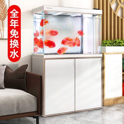 森森水族和亮點(diǎn)水族哪個(gè)更好？，森森水族vs亮點(diǎn)水族哪個(gè)更受歡迎？ 森森水族和亮點(diǎn)水族哪個(gè)更好？，森森水族vs亮點(diǎn)水族哪個(gè)更受歡迎？ 龍魚百科