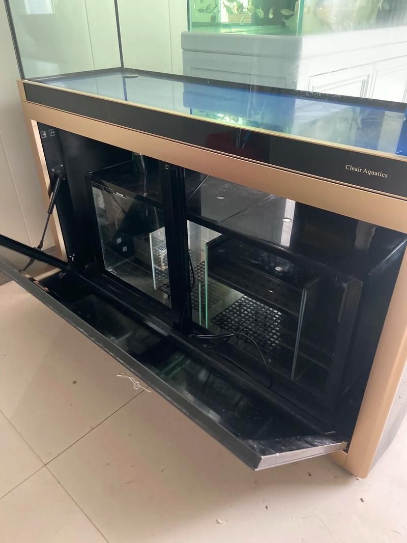 彩鰈、久鼎、可麗愛、希瑾哪個品牌最好？，可麗愛水族箱品牌評估
