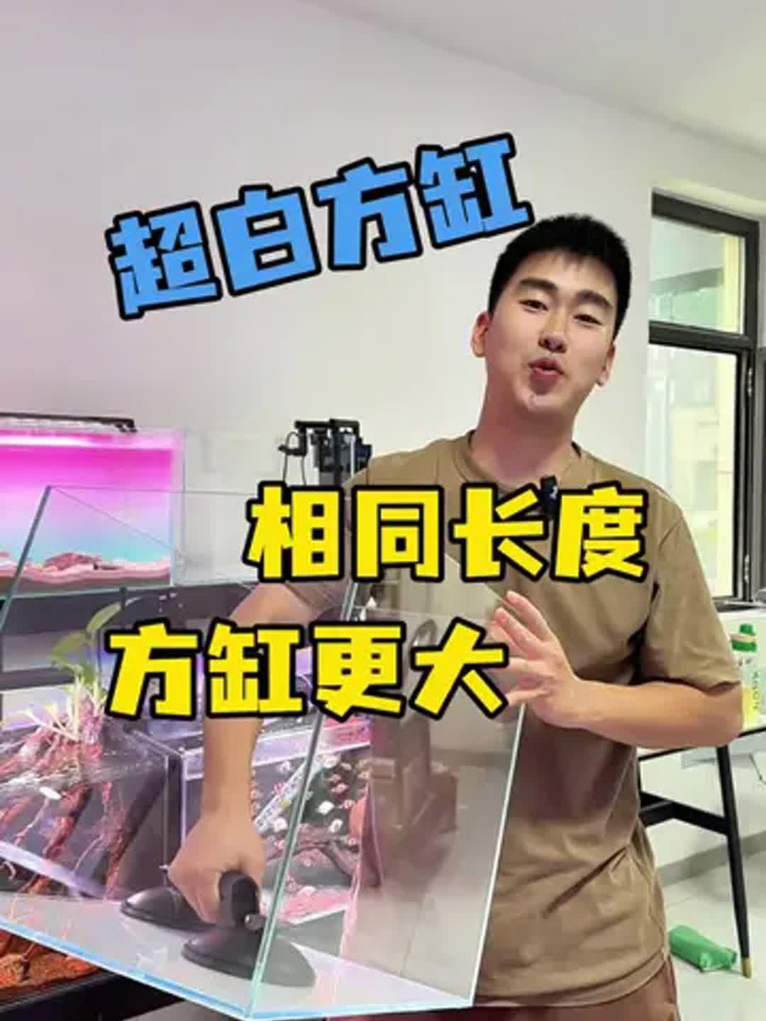 這些魚缸中哪個(gè)性價(jià)比最高？，佳寶迷你智能生態(tài)魚缸選購全攻略hufu顏究社
