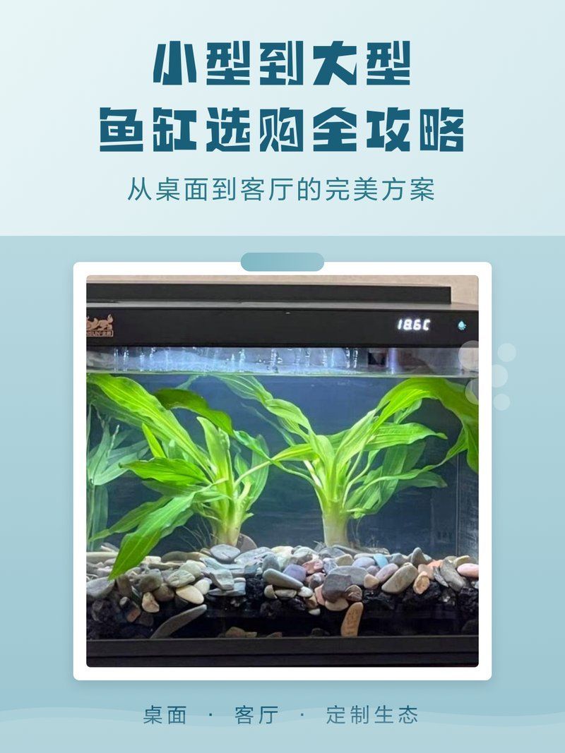 這些魚缸中哪個(gè)性價(jià)比最高？，佳寶迷你智能生態(tài)魚缸選購全攻略hufu顏究社