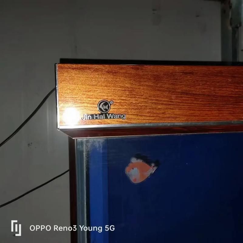 推薦幾款高端龍魚缸品牌，高端水族箱品牌推薦 推薦幾款高端龍魚缸品牌，高端水族箱品牌推薦 龍魚百科 第20張