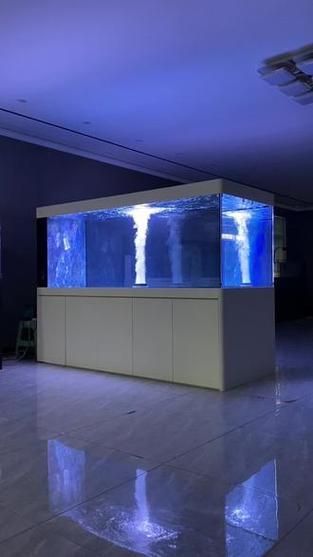 推薦幾款高端龍魚缸品牌，高端水族箱品牌推薦 推薦幾款高端龍魚缸品牌，高端水族箱品牌推薦 龍魚百科 第19張