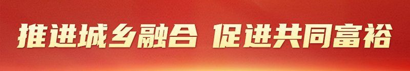 如何預防魚寄生蟲感染，arxiv論文助手arxiv論文助手：魚寄生蟲感染