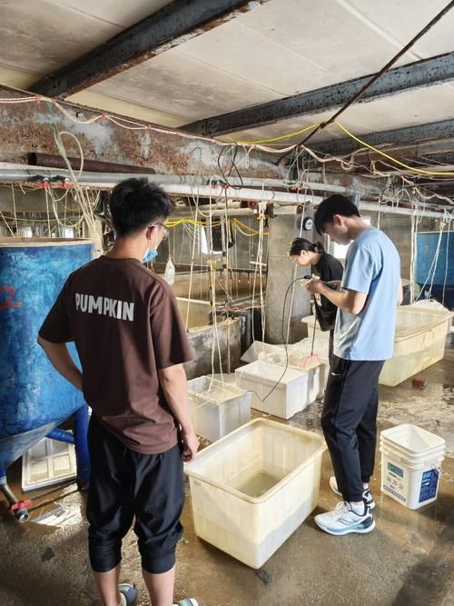 如何預防魚立鱗病，arxiv論文助手arxiv論文arxiv論文助手檢索
