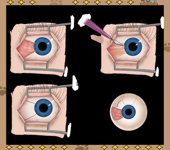 如何預(yù)防眼睛白膜，mcp工具調(diào)用戶要求詳解如何預(yù)防眼睛白膜需要1000字和配圖