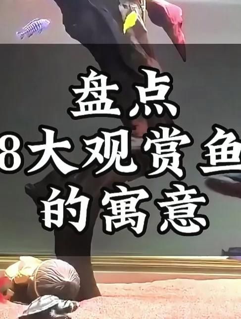 龍魚死了，風水上如何解釋，風水學中常見的吉祥物龍魚死亡通常與以下幾個因素有關 龍魚死了，風水上如何解釋，風水學中常見的吉祥物龍魚死亡通常與以下幾個因素有關 龍魚百科 第2張