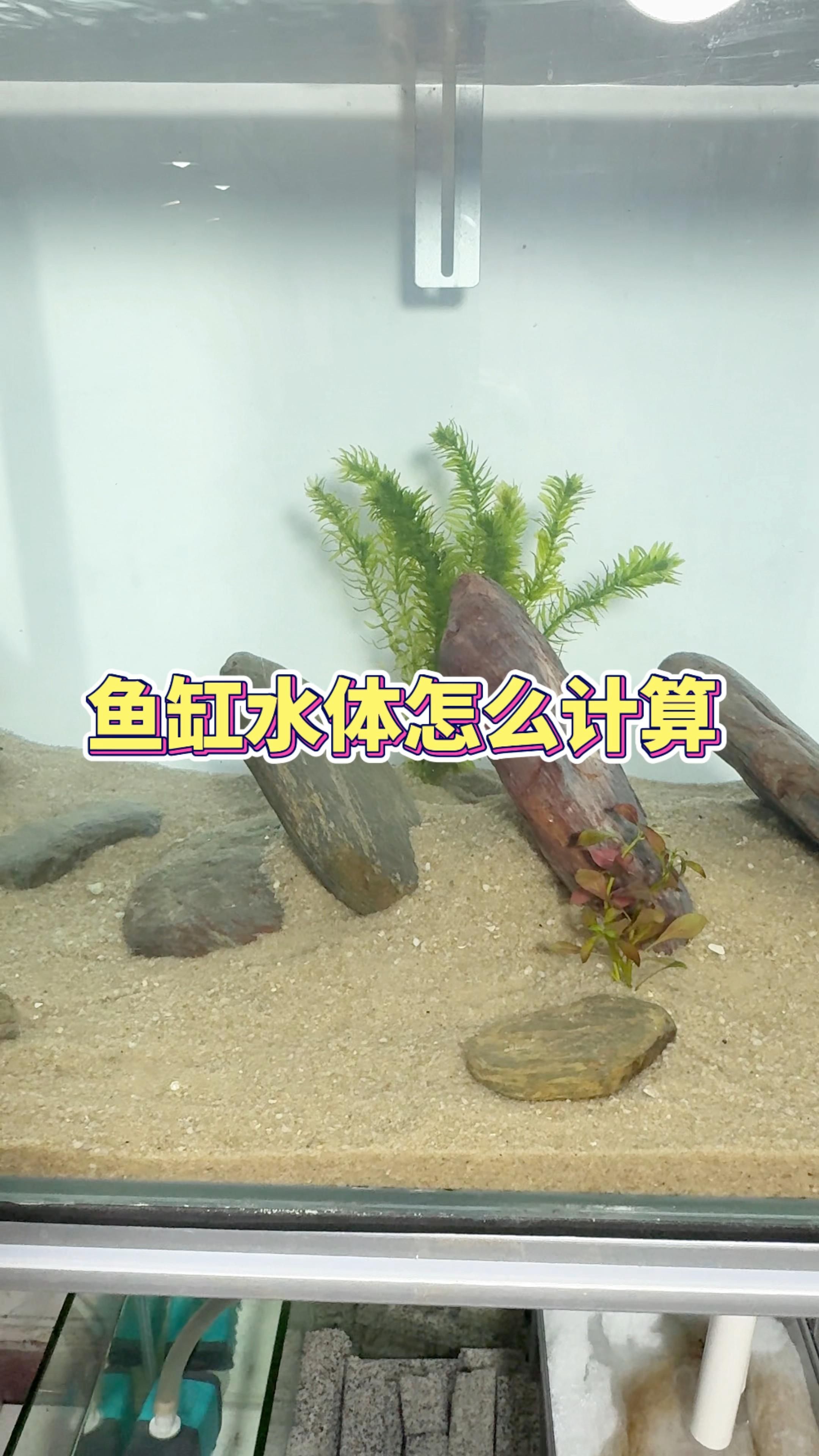 如何計算魚缸的容積，計算魚缸容積其實并不復雜