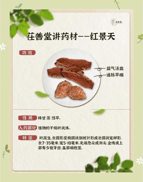 有哪些抗應激產品推薦？，抗應激產品