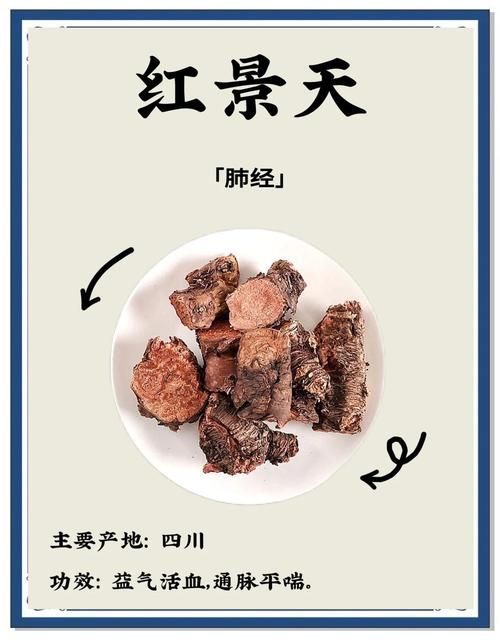 有哪些抗應激產品推薦？，抗應激產品
