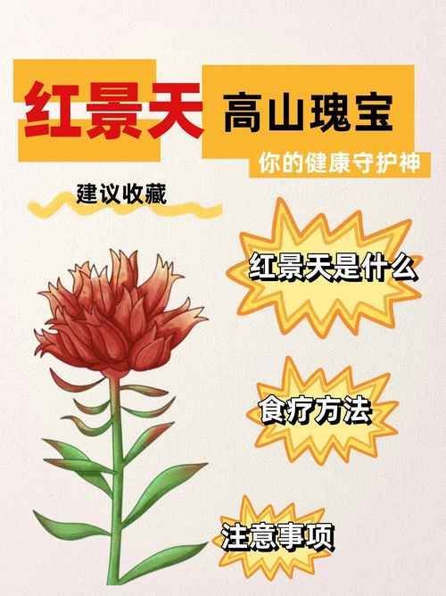 有哪些抗應激產品推薦？，抗應激產品