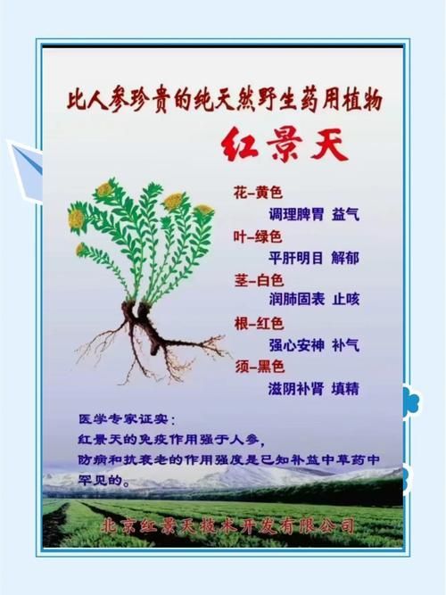 有哪些抗應激產品推薦？，抗應激產品