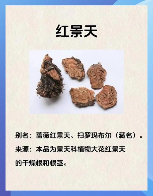 有哪些抗應激產品推薦？，抗應激產品