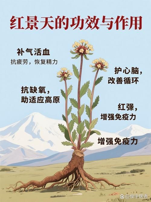 有哪些抗應激產品推薦？，抗應激產品