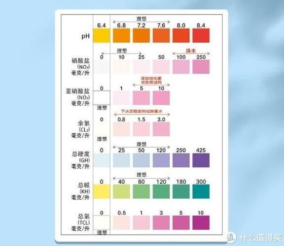 如何預防爛鰭爛尾病的發生，如何預防鰭爛尾病