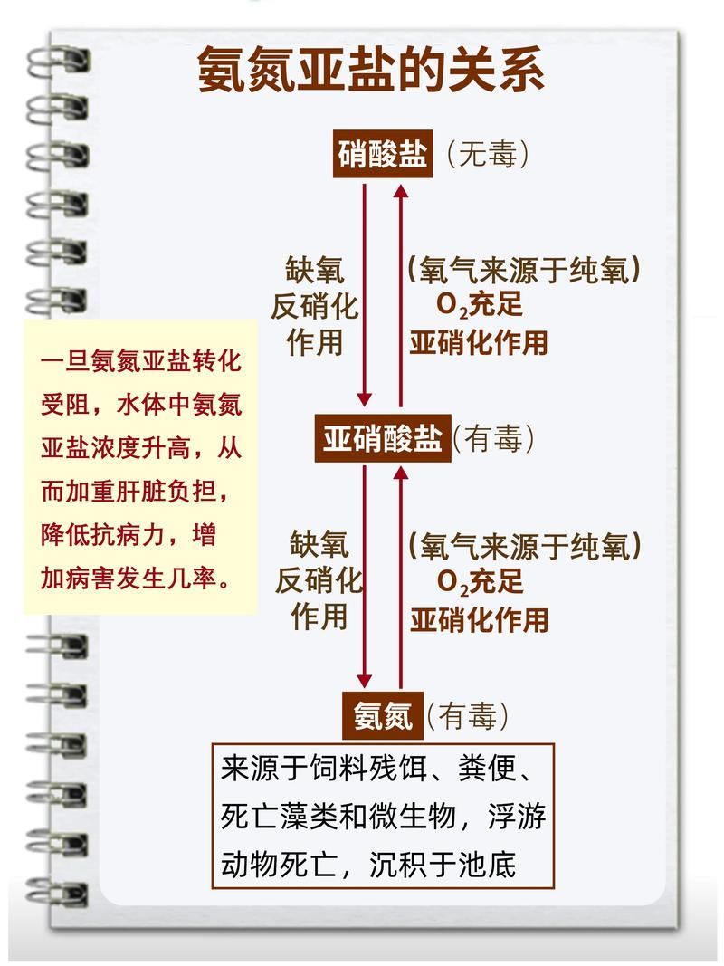 如何預防爛鰭爛尾病的發生，如何預防鰭爛尾病