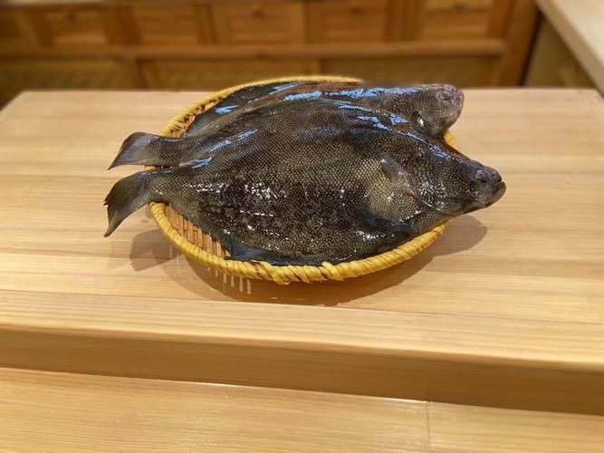 彩鰈有哪些品種？