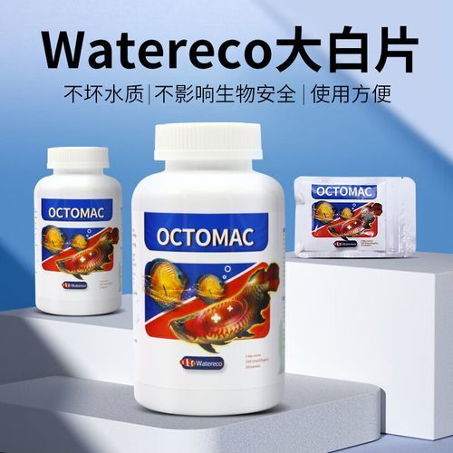 龍魚(yú)內(nèi)寄治療期間如何保持水質(zhì)，mcp工具“arxiv論文助手”和arxiv論文助手
