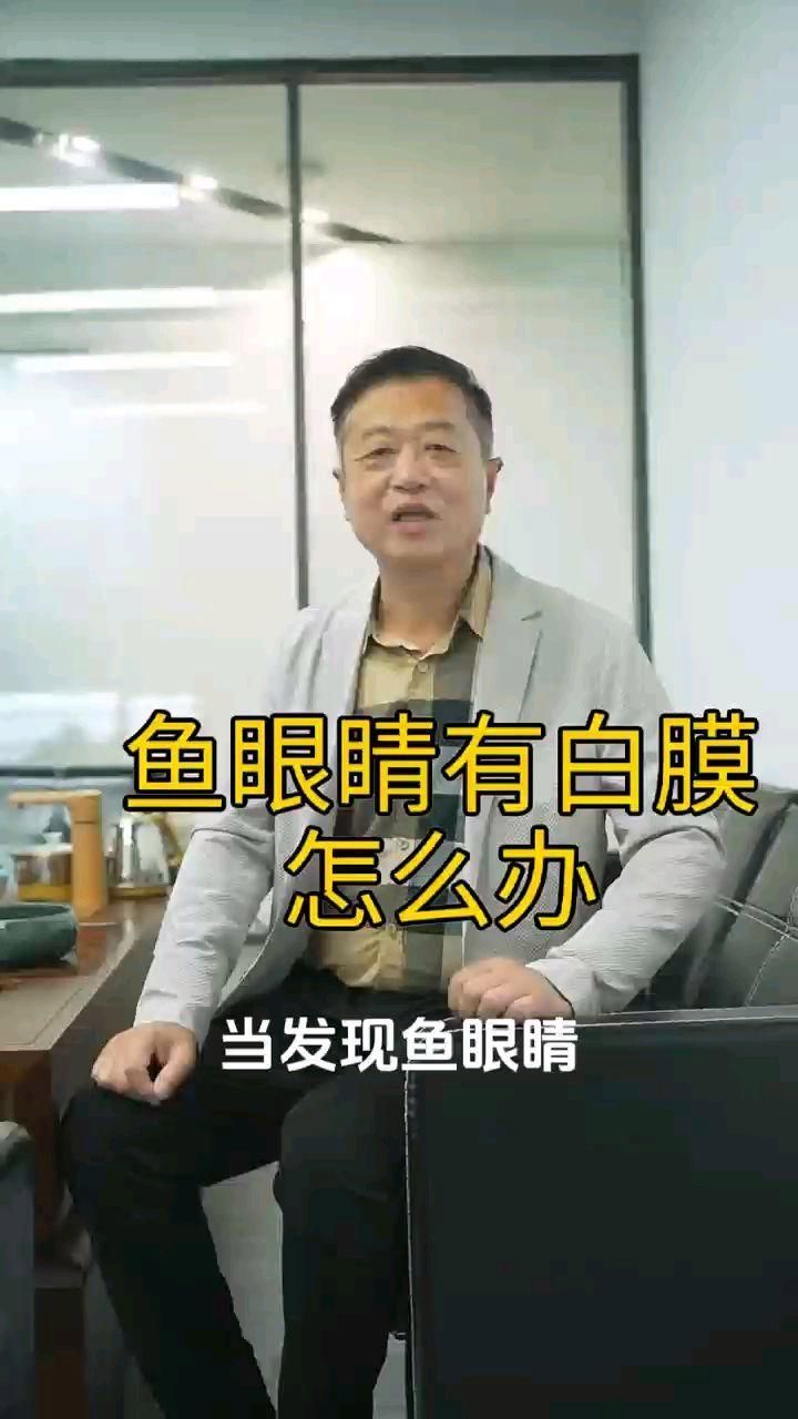 如何預(yù)防魚眼睛有白膜，養(yǎng)魚筆記第3季104集養(yǎng)魚志01:40魚眼睛有白膜怎么辦 如何預(yù)防魚眼睛有白膜，養(yǎng)魚筆記第3季104集養(yǎng)魚志01:40魚眼睛有白膜怎么辦 龍魚百科 第2張