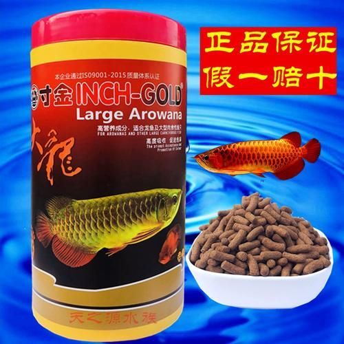 有哪些品牌適合幼龍魚？，適合幼龍魚的優質飼料品牌