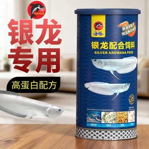 有哪些品牌適合幼龍魚？，適合幼龍魚的優質飼料品牌