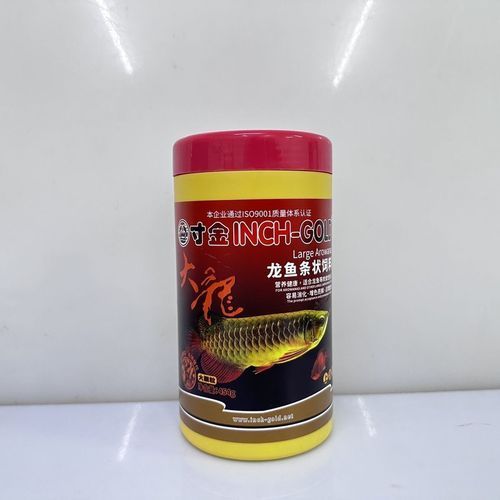 有哪些品牌適合幼龍魚？，適合幼龍魚的優質飼料品牌